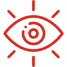 Vision